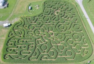 Virginia Corn Maze